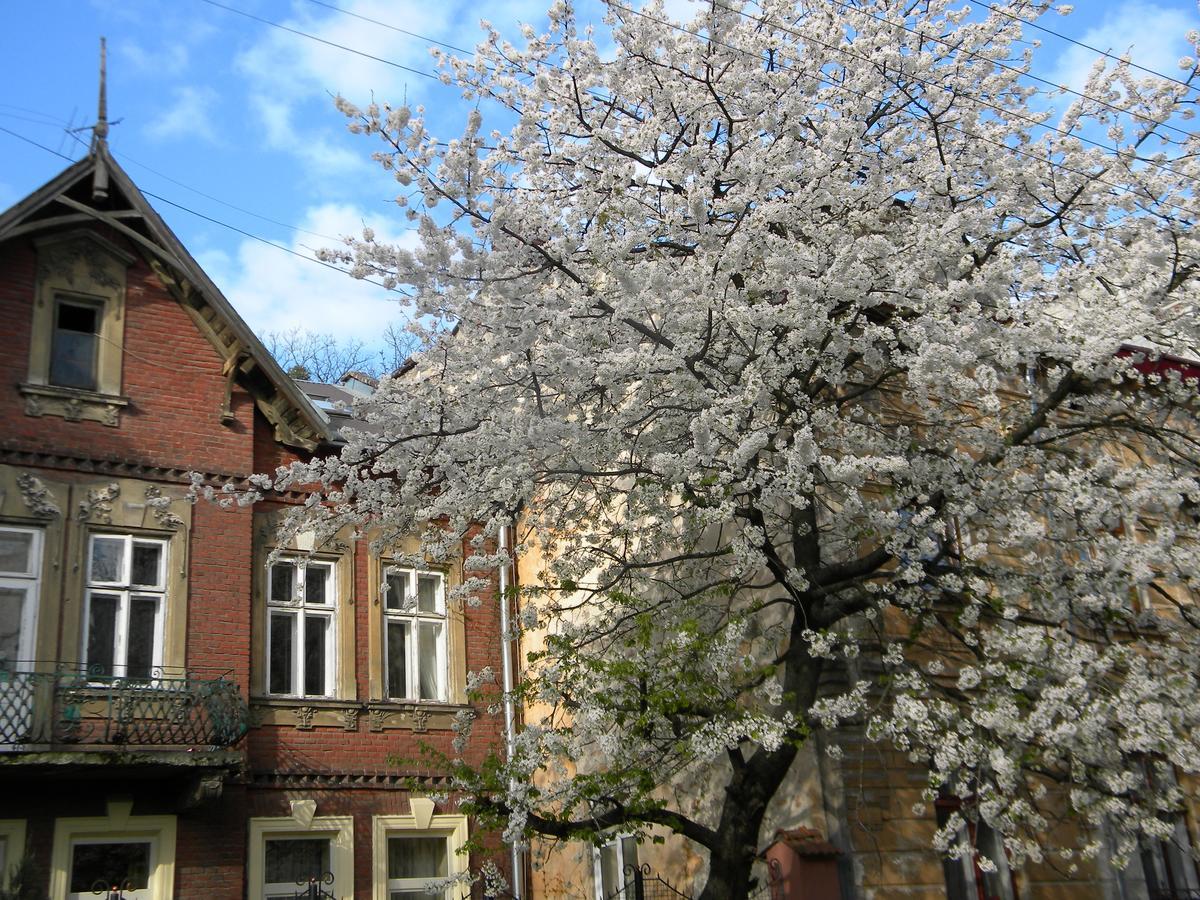 Studios At Anchevskih 3 Lviv Exterior photo