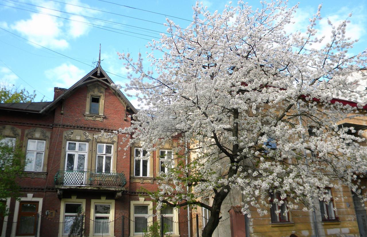 Studios At Anchevskih 3 Lviv Exterior photo